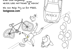 LOST-GOOSE-Bicycle-accident-scene-1