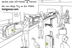 LOST-GOOSE-airport